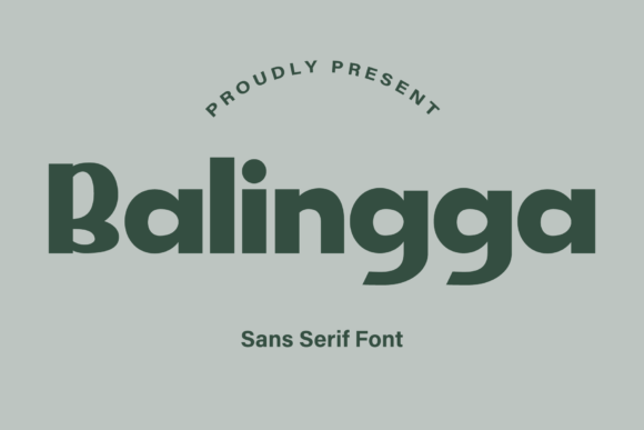 Balingga: A Clean Sans Serif Font for Small Business Branding