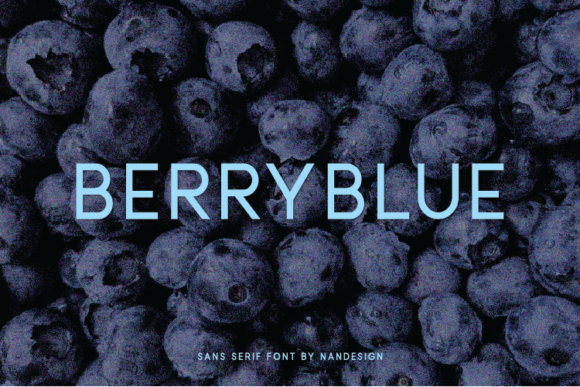 Berryblue: The Versatile Sans Serif Font for Small Business Branding