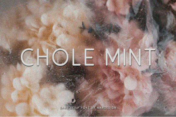 Chole Mint Font Review for Campaigns