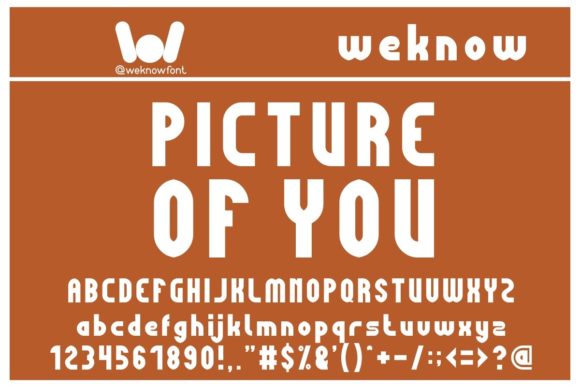 Elevate Your Web Design with the Picture of You Typeface