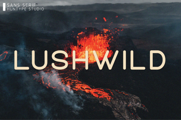 Lushwild Typeface Review for Modern Branding
