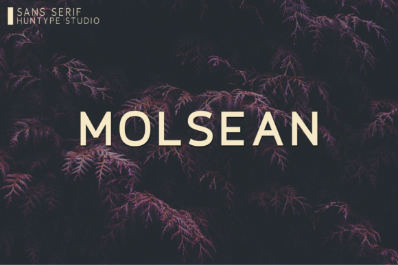 Molsean: The Versatile Sans Serif Font for Modern Marketers