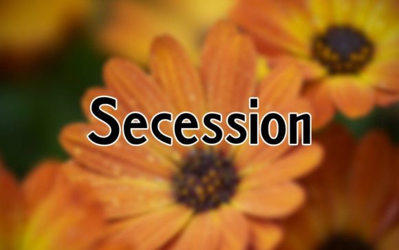 Secession: A Playful Sans Serif Font for Smart Branding